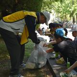 Hikari-3.jpg