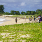 Nago22.jpg