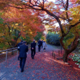 Omoto005.jpg