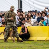 Picture-Canine-Unit-BB.jpg
